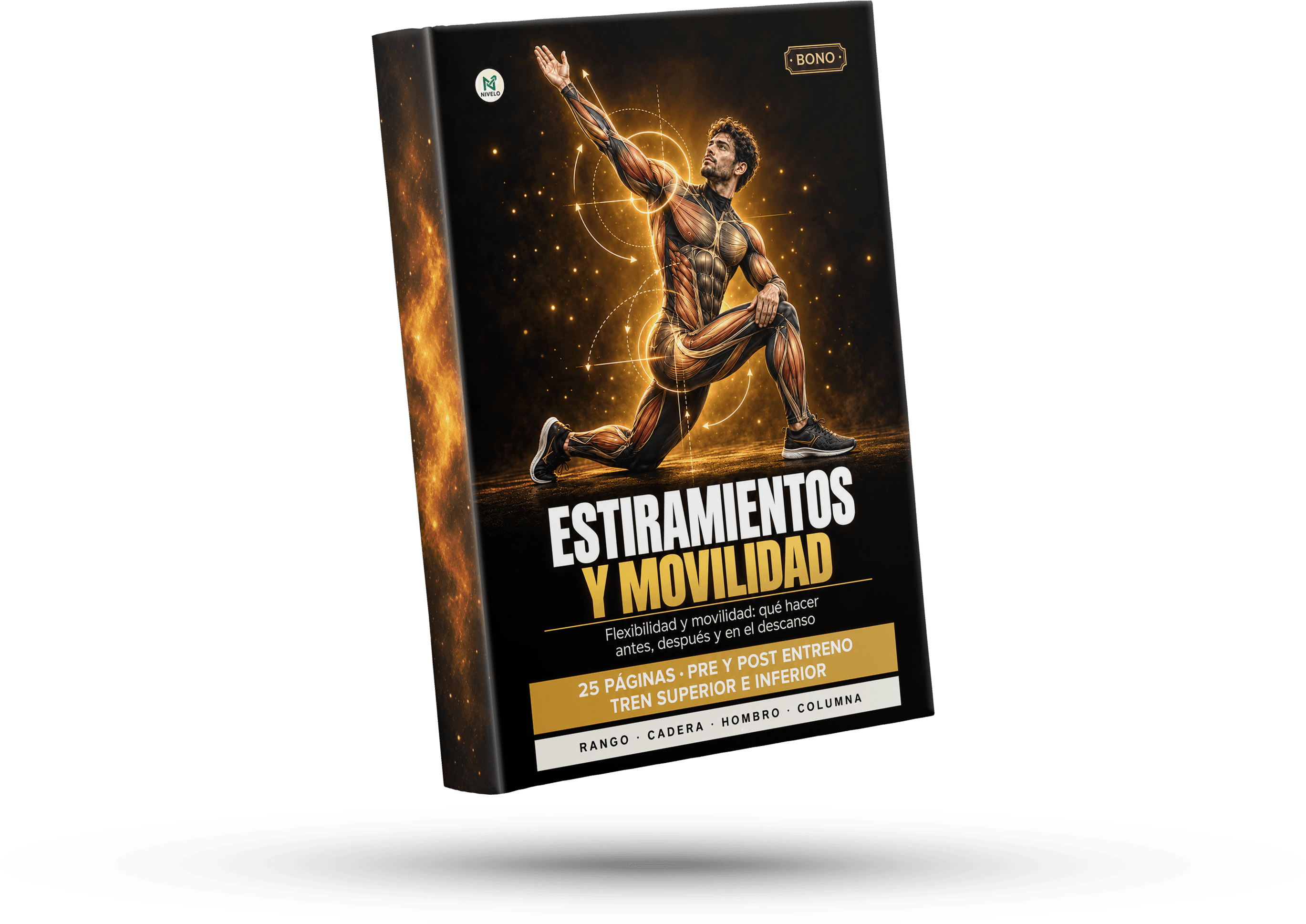 Ebook Estiramientos y movilidad